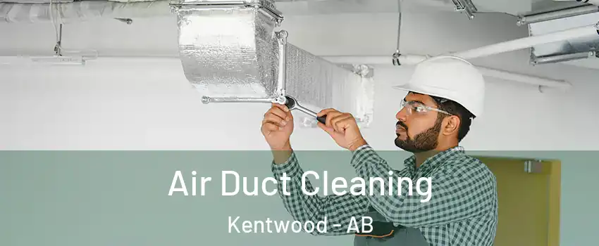 Air Duct Cleaning Kentwood - AB