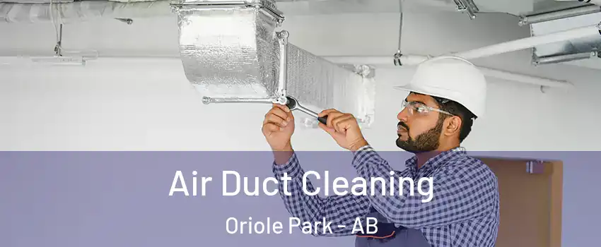 Air Duct Cleaning Oriole Park - AB