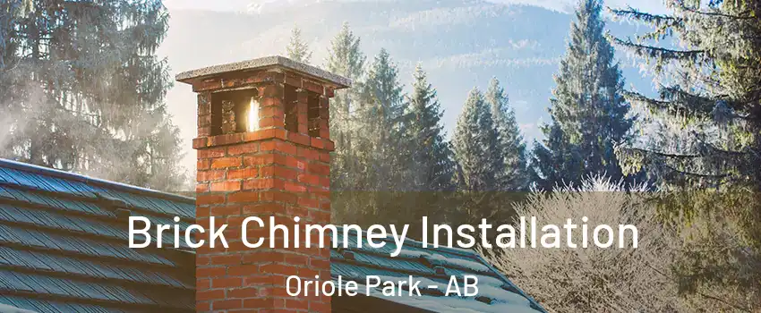 Brick Chimney Installation Oriole Park - AB