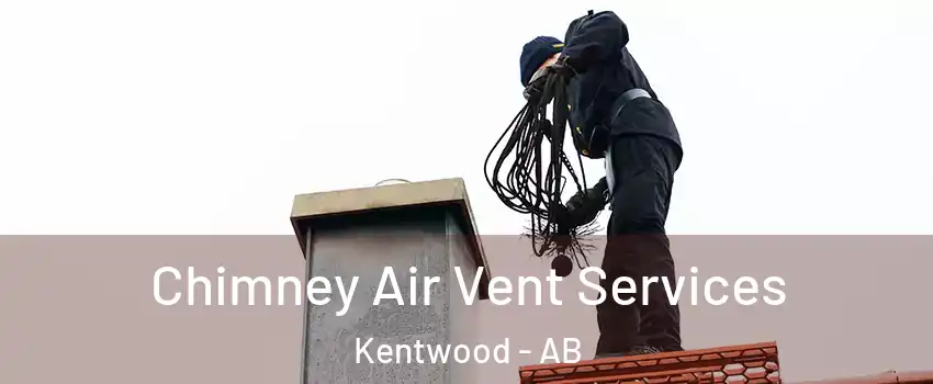 Chimney Air Vent Services Kentwood - AB