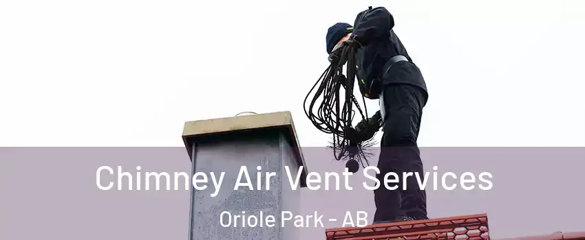  Chimney Air Vent Services Oriole Park - AB