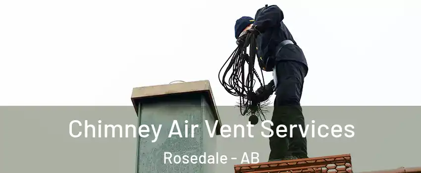 Chimney Air Vent Services Rosedale - AB