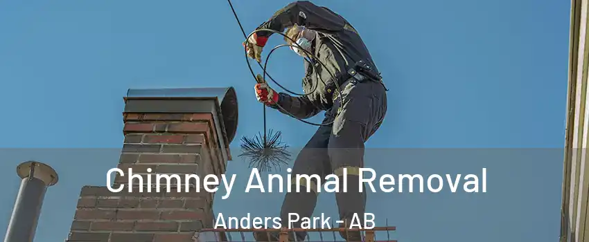Chimney Animal Removal Anders Park - AB