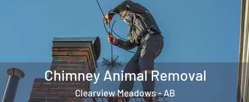  Chimney Animal Removal Clearview Meadows - AB
