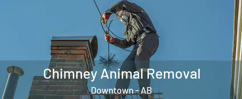 Chimney Animal Removal Downtown - AB
