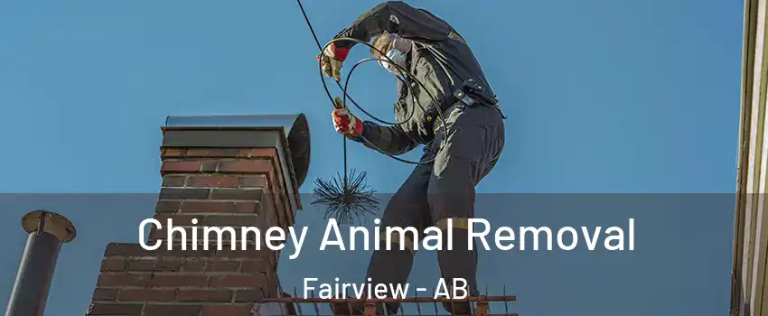  Chimney Animal Removal Fairview - AB