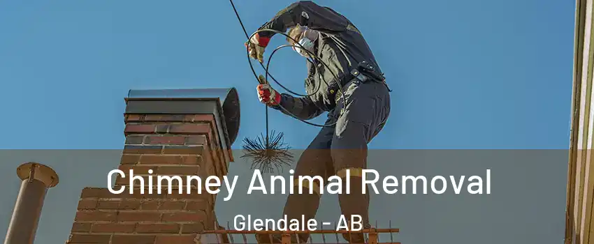 Chimney Animal Removal Glendale - AB