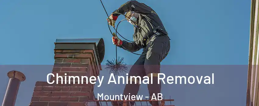 Chimney Animal Removal Mountview - AB