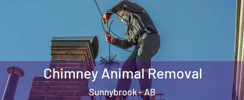 Chimney Animal Removal Sunnybrook - AB