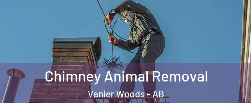 Chimney Animal Removal Vanier Woods - AB