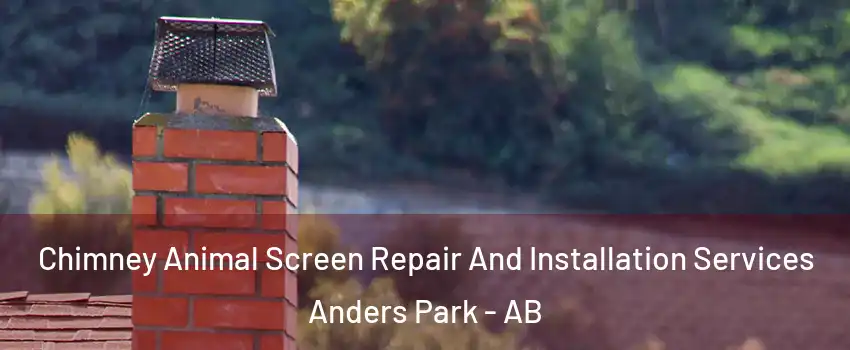  Chimney Animal Screen Repair And Installation Services Anders Park - AB