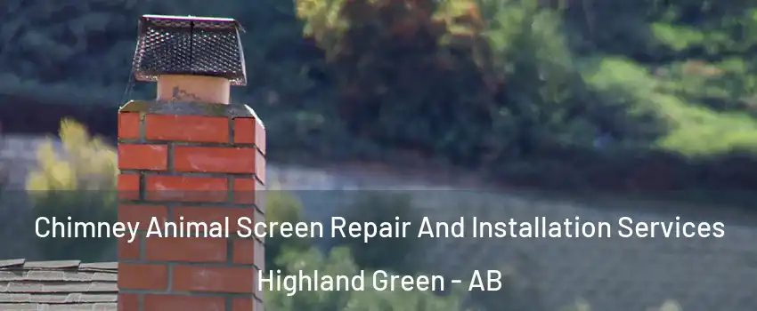 Chimney Animal Screen Repair And Installation Services Highland Green - AB