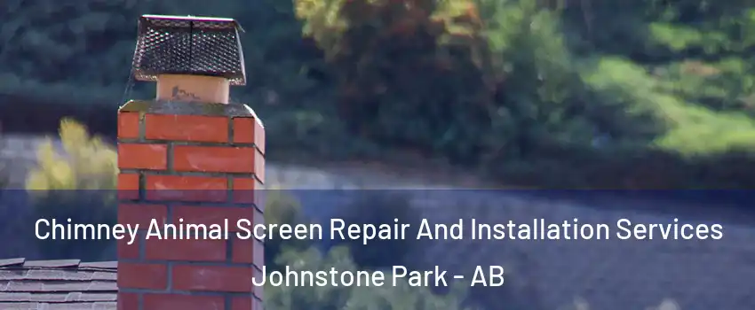 Chimney Animal Screen Repair And Installation Services Johnstone Park - AB