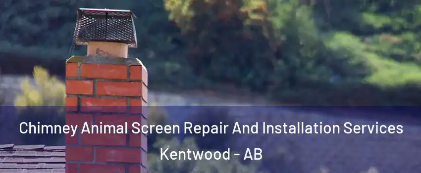 Chimney Animal Screen Repair And Installation Services Kentwood - AB