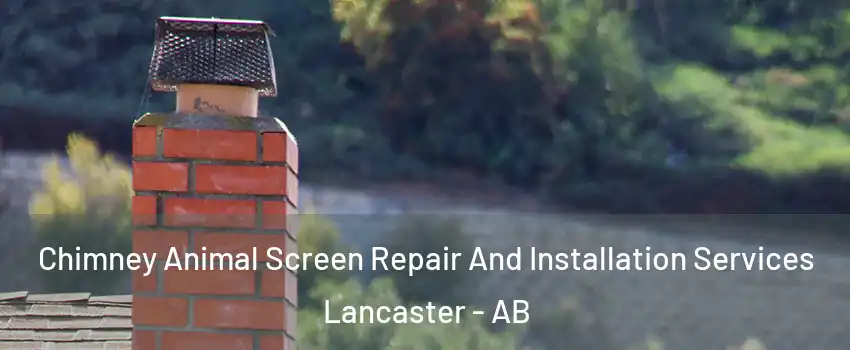 Chimney Animal Screen Repair And Installation Services Lancaster - AB