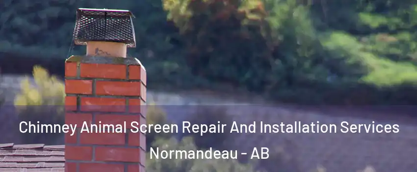 Chimney Animal Screen Repair And Installation Services Normandeau - AB