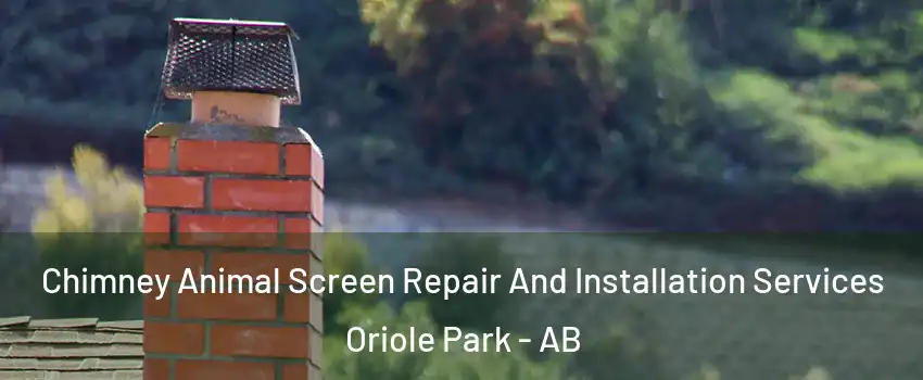 Chimney Animal Screen Repair And Installation Services Oriole Park - AB