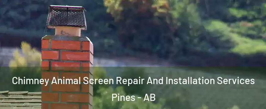  Chimney Animal Screen Repair And Installation Services Pines - AB