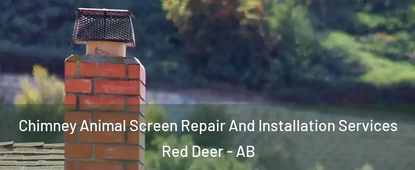 Chimney Animal Screen Repair And Installation Services Red Deer - AB