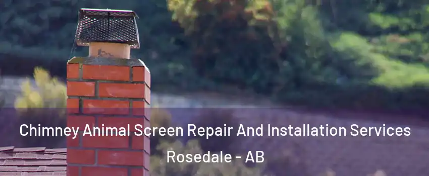 Chimney Animal Screen Repair And Installation Services Rosedale - AB