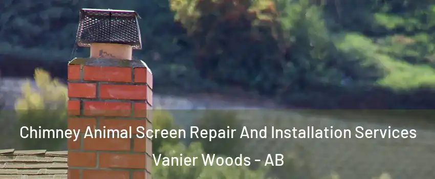 Chimney Animal Screen Repair And Installation Services Vanier Woods - AB