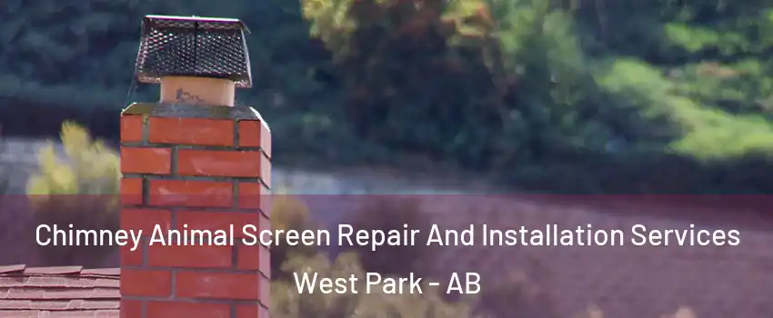 Chimney Animal Screen Repair And Installation Services West Park - AB