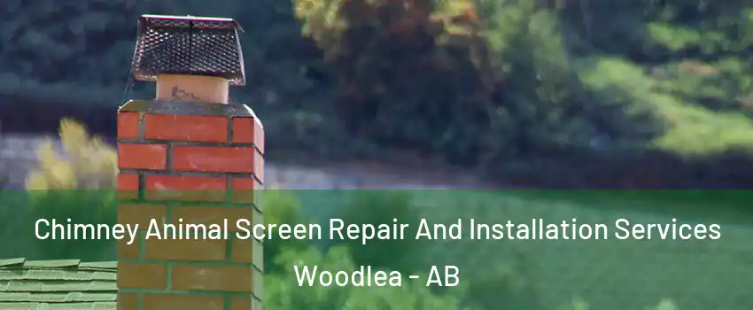 Chimney Animal Screen Repair And Installation Services Woodlea - AB