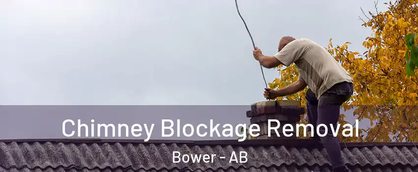 Chimney Blockage Removal Bower - AB