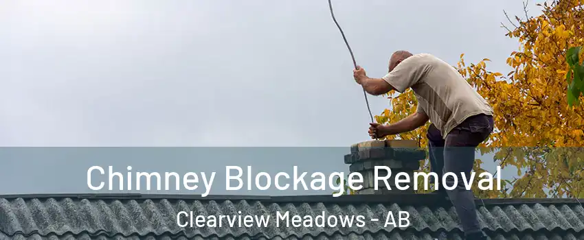 Chimney Blockage Removal Clearview Meadows - AB