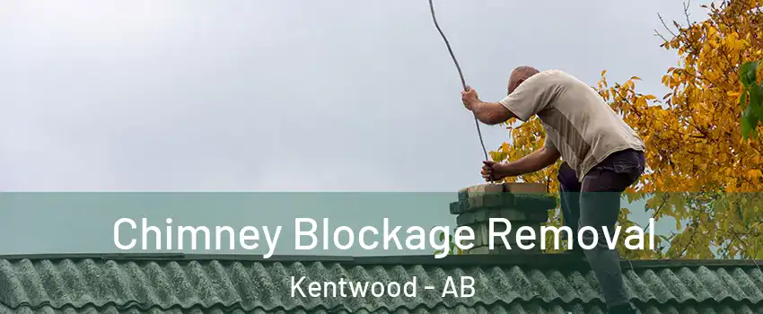 Chimney Blockage Removal Kentwood - AB