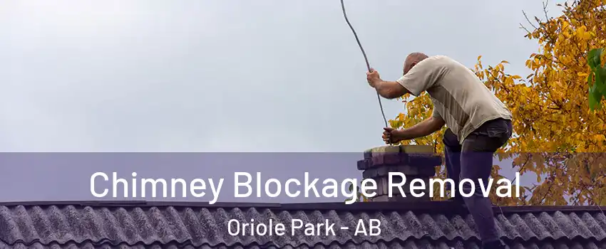  Chimney Blockage Removal Oriole Park - AB