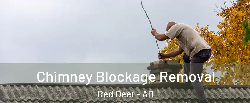 Chimney Blockage Removal Red Deer - AB