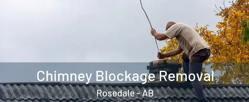 Chimney Blockage Removal Rosedale - AB