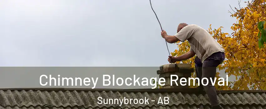 Chimney Blockage Removal Sunnybrook - AB