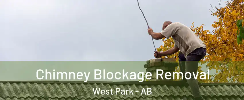 Chimney Blockage Removal West Park - AB