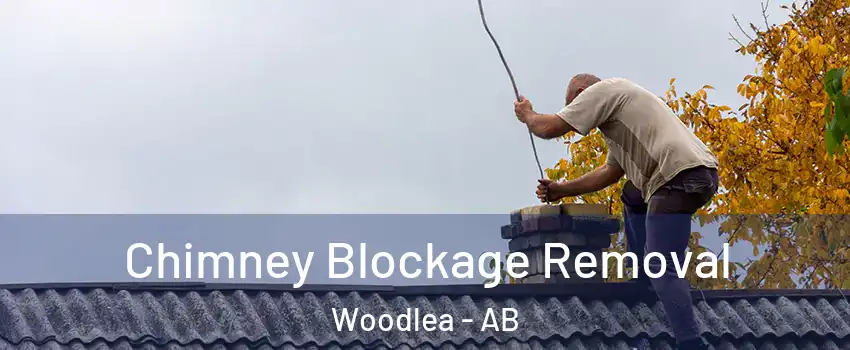 Chimney Blockage Removal Woodlea - AB