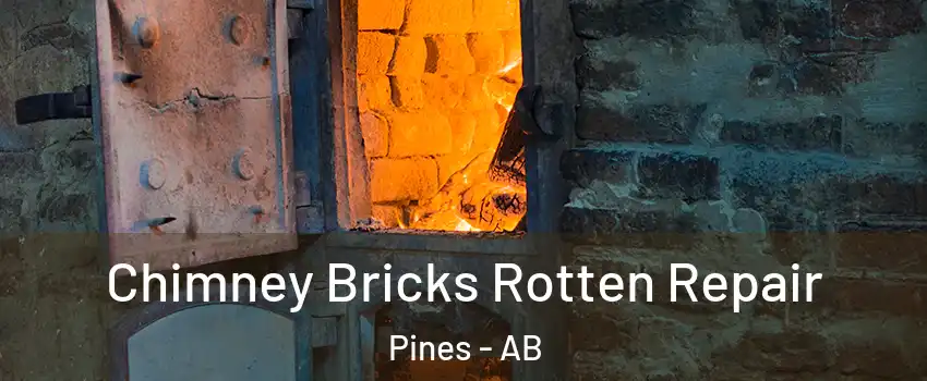  Chimney Bricks Rotten Repair Pines - AB