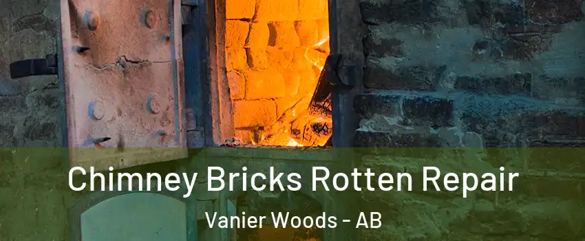 Chimney Bricks Rotten Repair Vanier Woods - AB