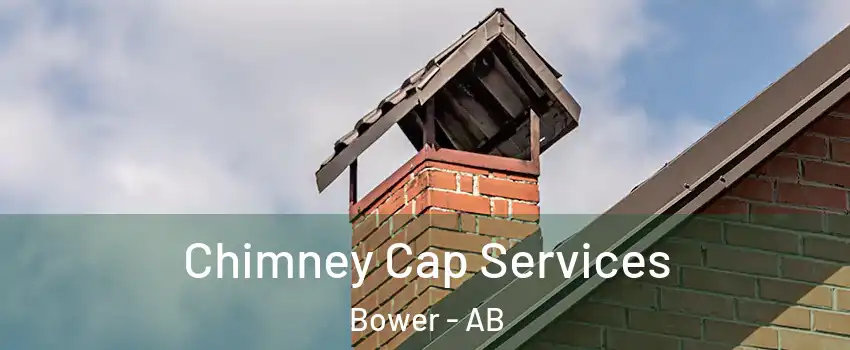  Chimney Cap Services Bower - AB