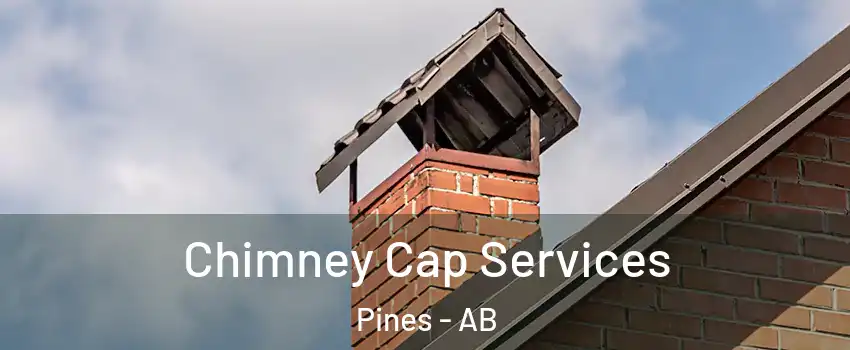 Chimney Cap Services Pines - AB