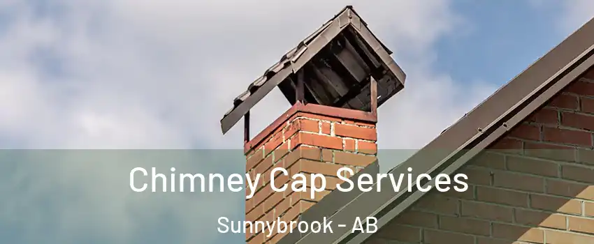  Chimney Cap Services Sunnybrook - AB
