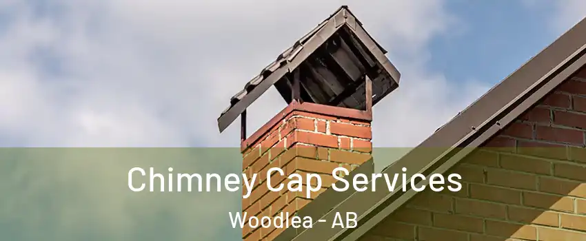  Chimney Cap Services Woodlea - AB