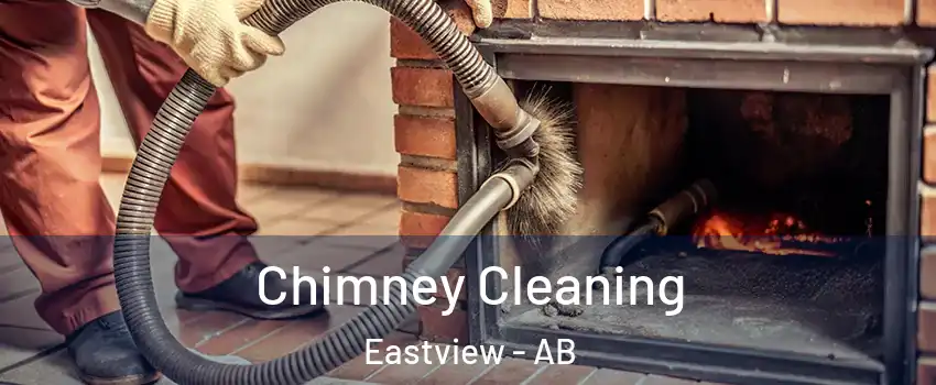  Chimney Cleaning Eastview - AB