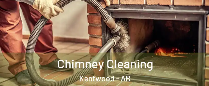 Chimney Cleaning Kentwood - AB