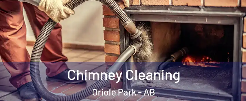 Chimney Cleaning Oriole Park - AB