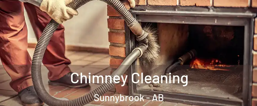  Chimney Cleaning Sunnybrook - AB