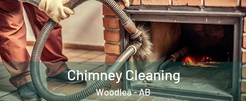 Chimney Cleaning Woodlea - AB
