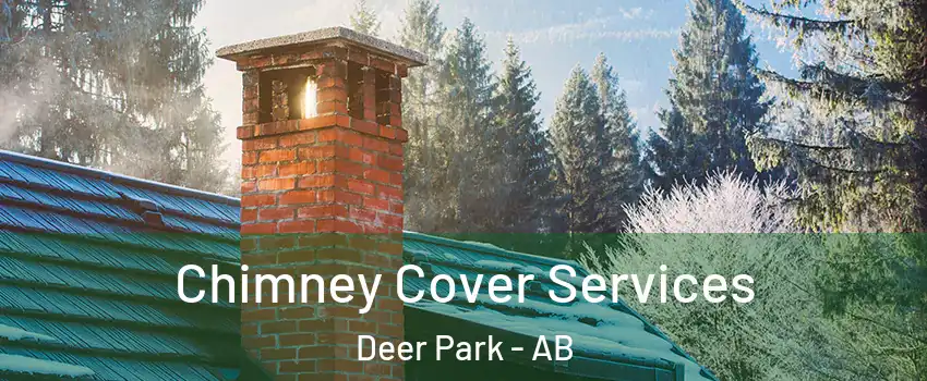 Chimney Cover Services Deer Park - AB