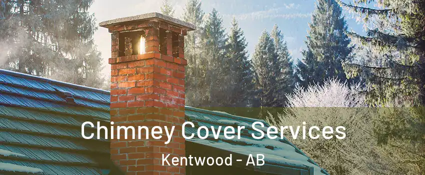 Chimney Cover Services Kentwood - AB