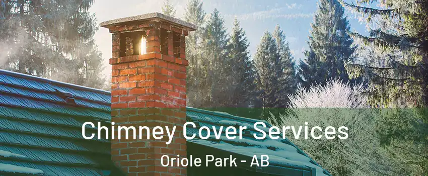 Chimney Cover Services Oriole Park - AB